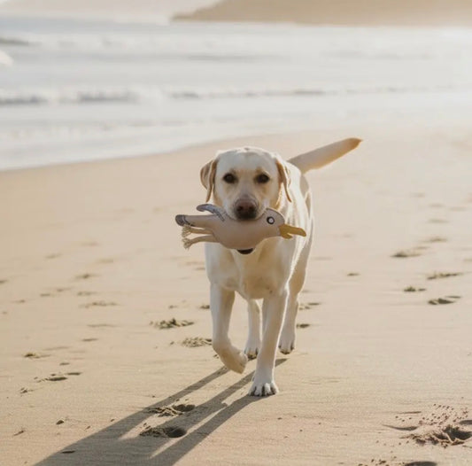 BUDDY. Hundespielzeug aus Leder "Möve"