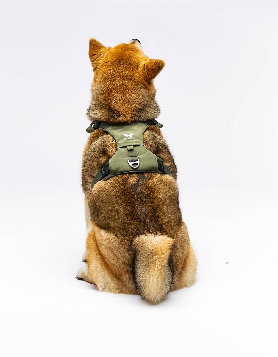 Gepolstertes Geschirr "CityLife" Linie in Oliv