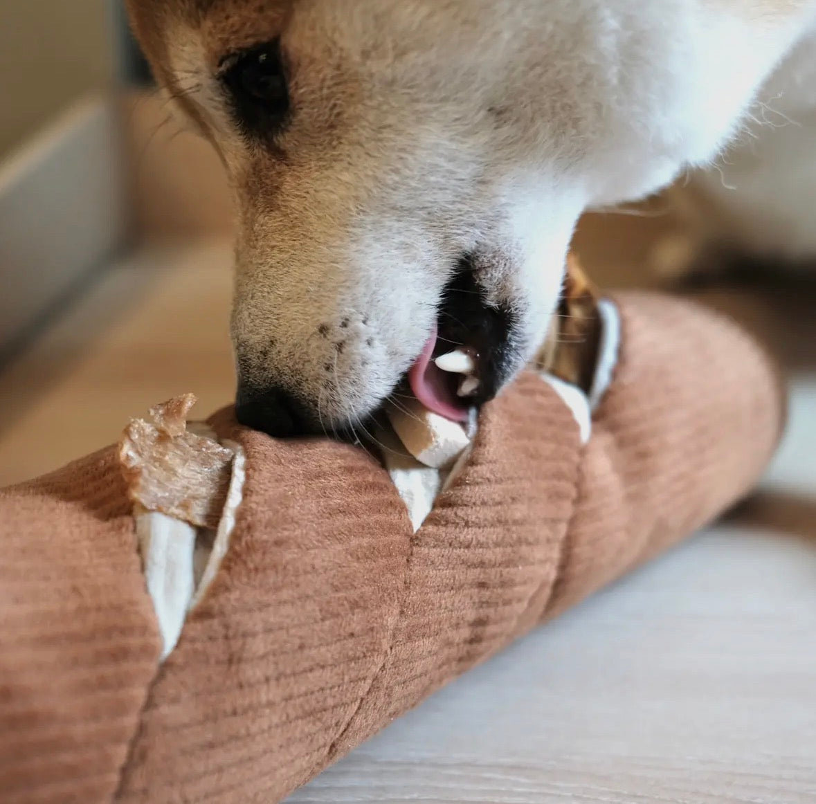 Schnüffelspielzeug / BAGUETTE