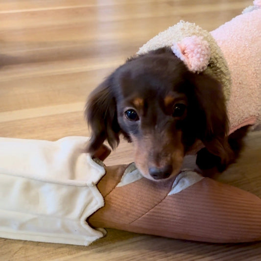 Schnüffelspielzeug / BAGUETTE