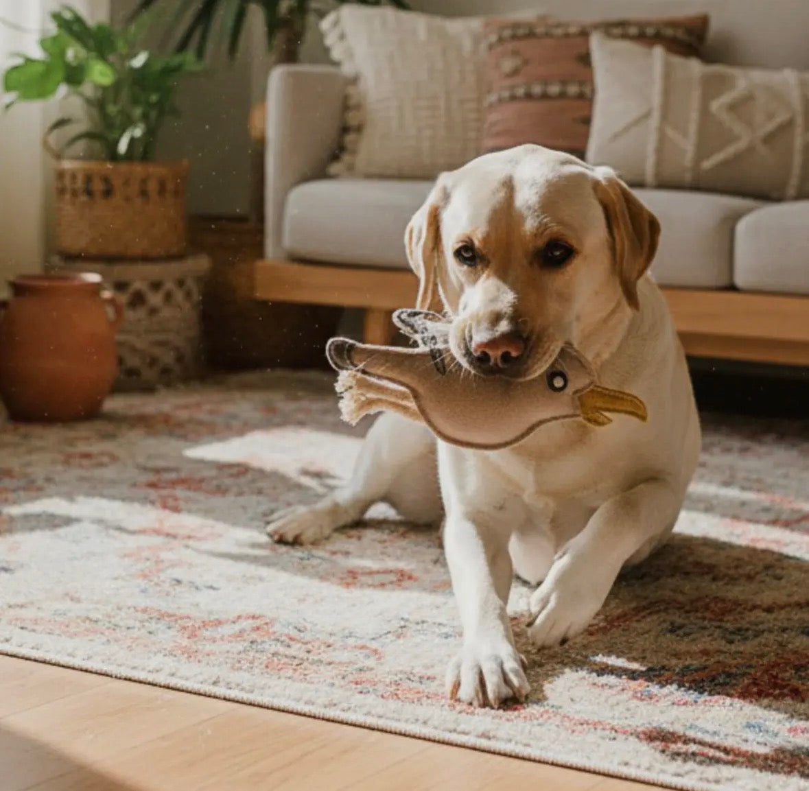 BUDDY. Hundespielzeug aus Leder "Möve"