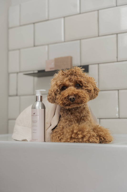 Hundeshampoo - 200ml - Grüner Tee & Bergamotte