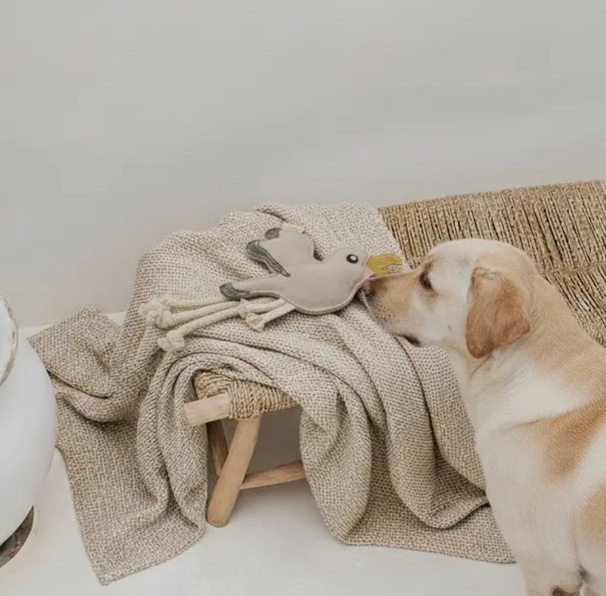 BUDDY. Hundespielzeug aus Leder "Möve"