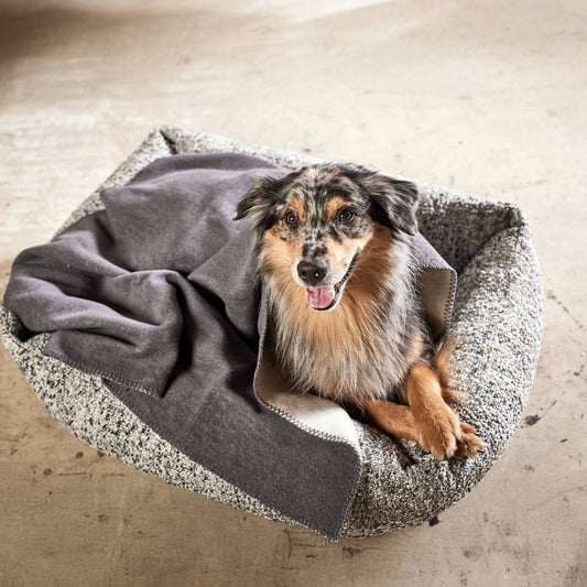 REVERSO – Stilvolle Wende-Decke für anspruchsvolle Hunde Grau/Anthrazit