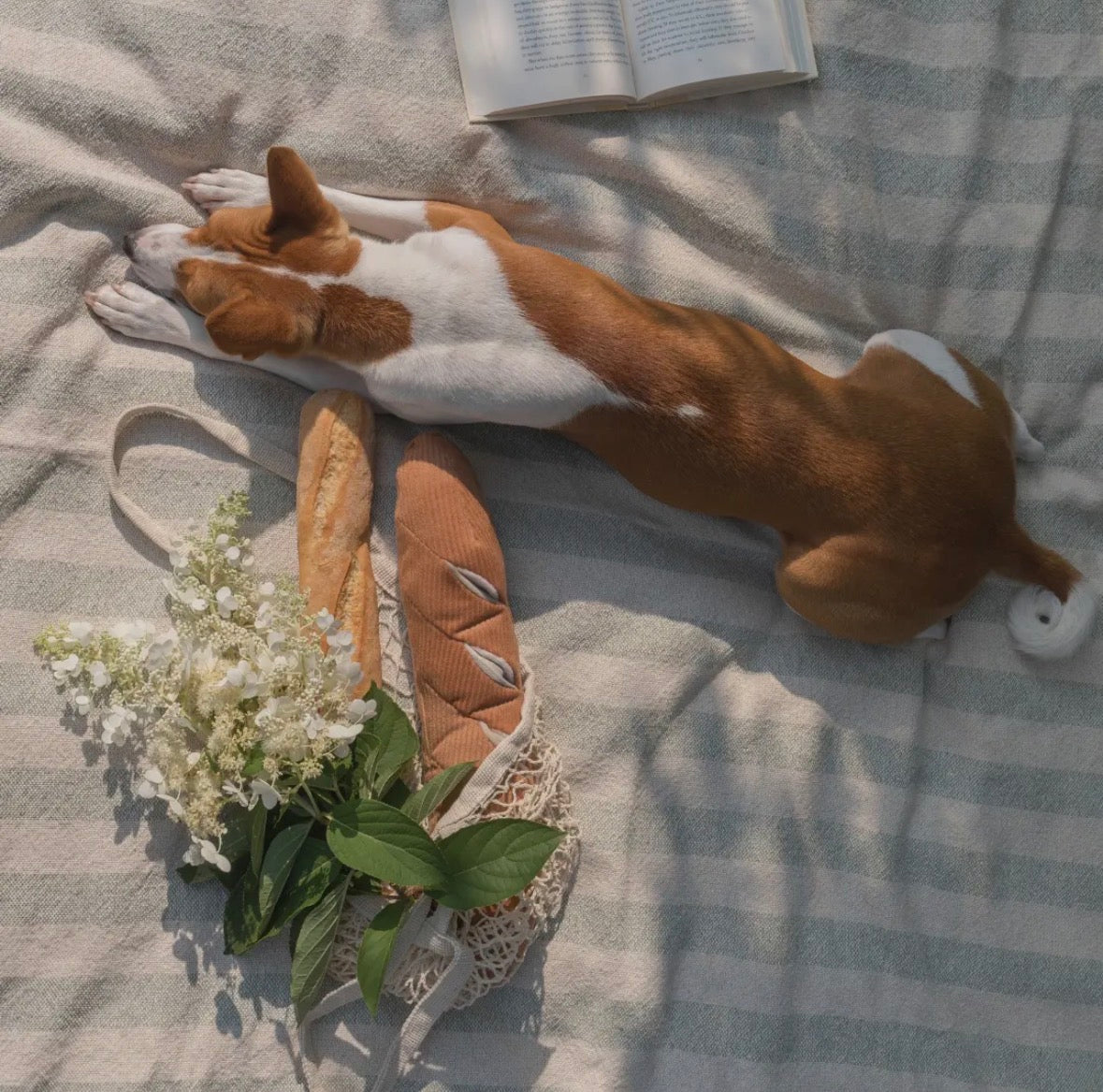 Schnüffelspielzeug / BAGUETTE