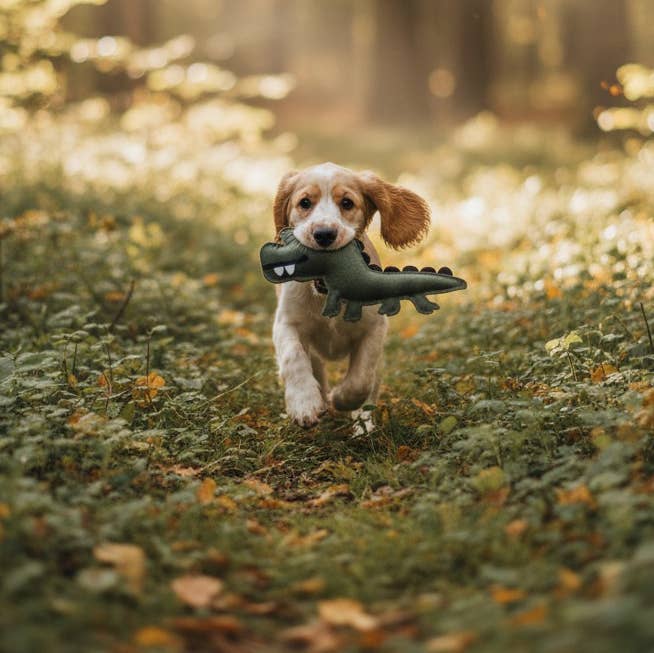 Hund mit Krokodil im Wald