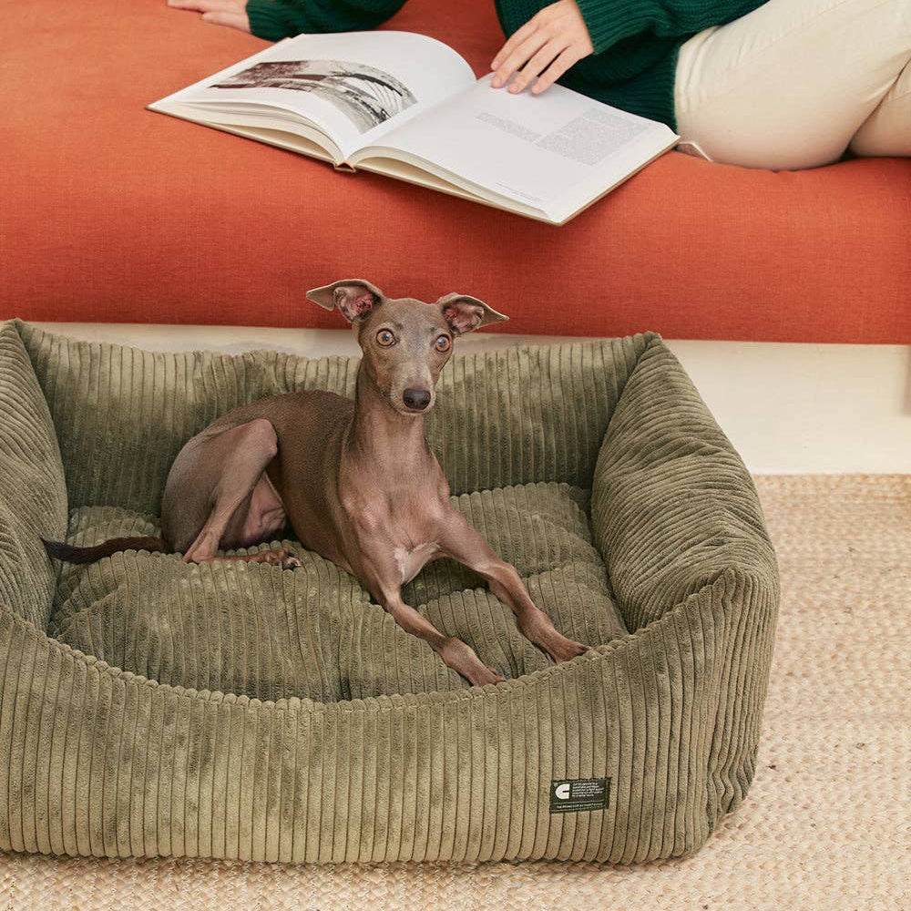Hundebett aus grünem Cord / Snozy