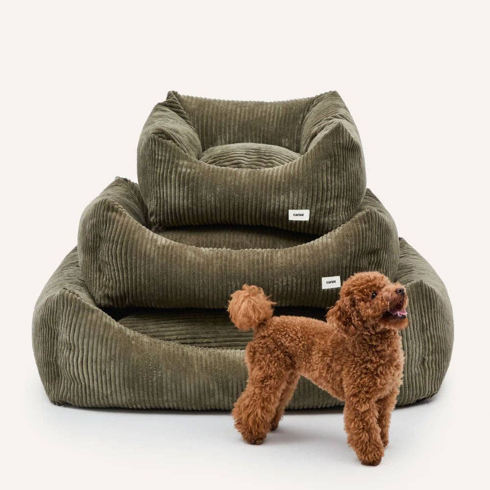Hundebett aus grünem Cord / Snozy