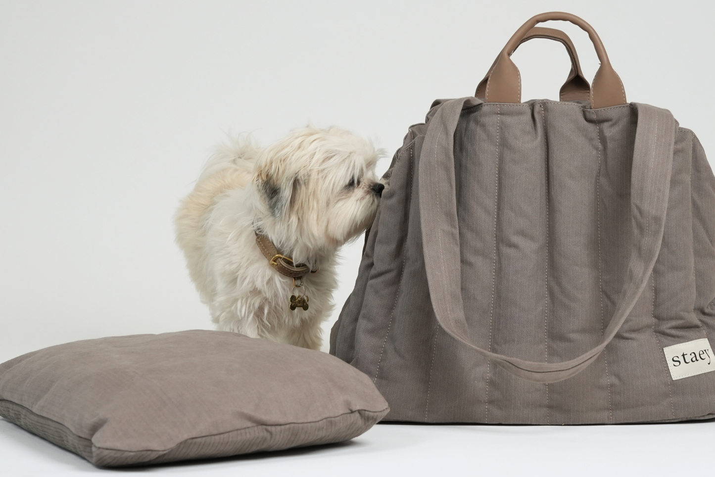 Hundetragetasche auch als Bett verwendbar