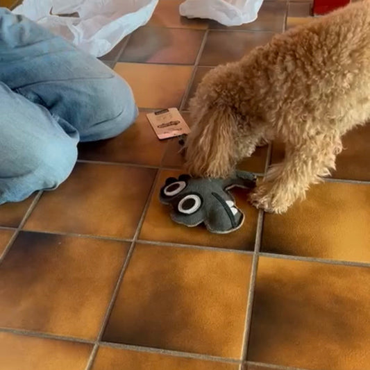 BUDDY. Hundespielzeug aus Leder "Krokodil"