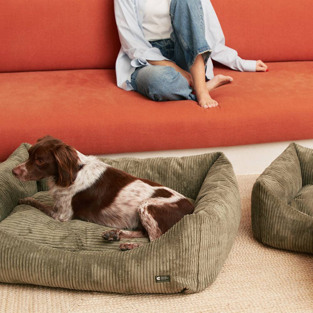 Hundebett aus grünem Cord / Snozy