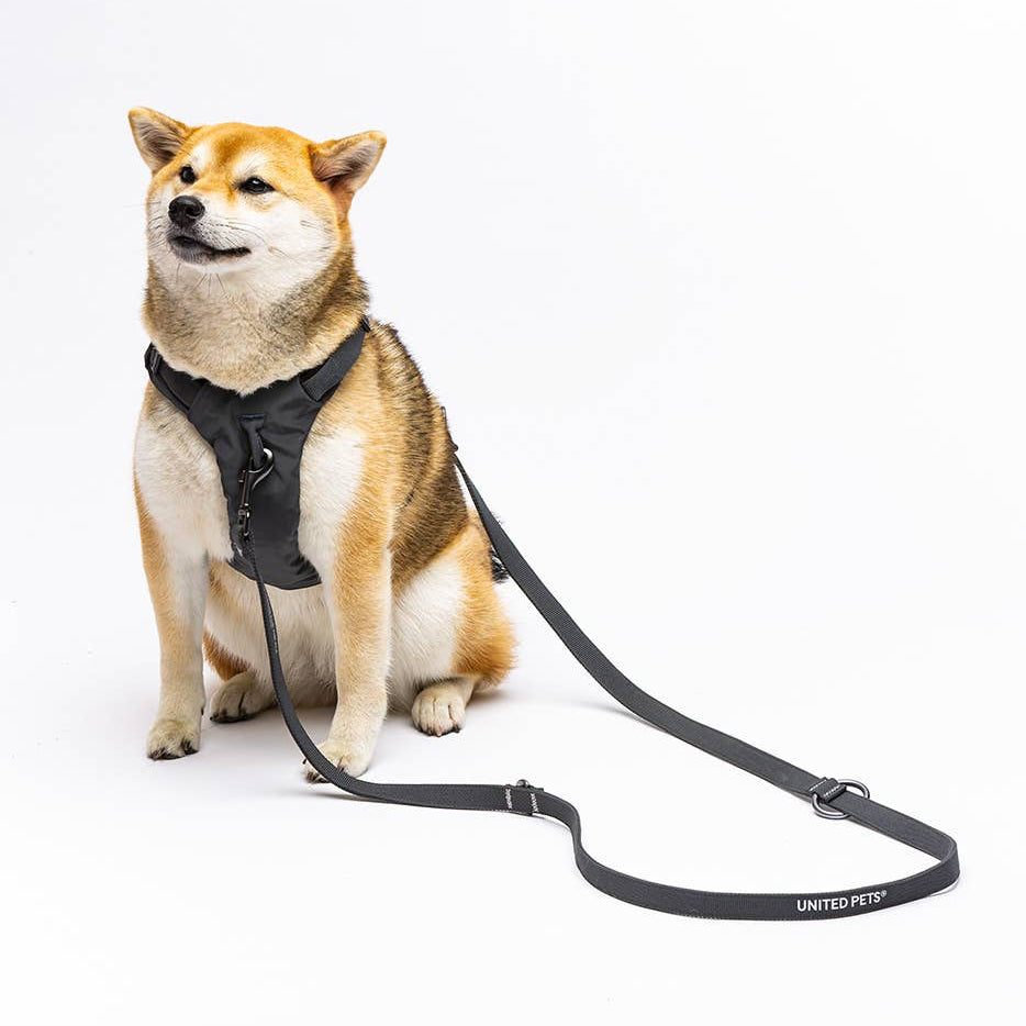 Gepolstertes, weiches Hundegeschirr