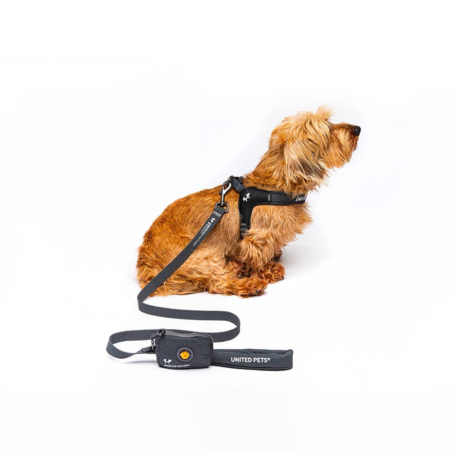 Gepolsterte, weiche Hundeleine Oliv