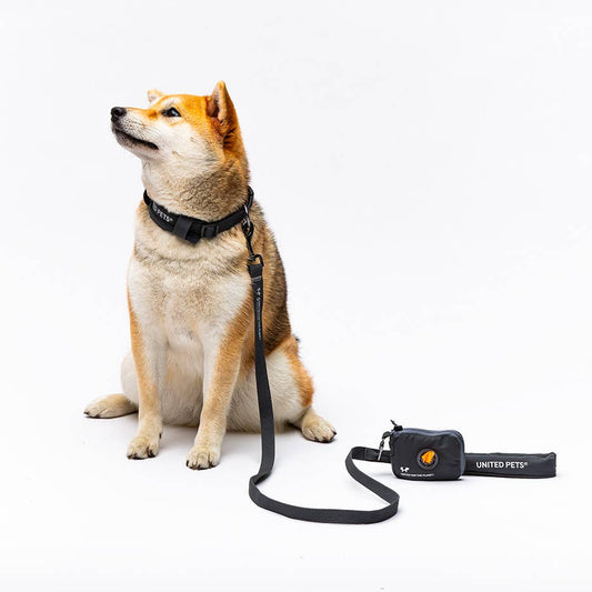 Gepolsterte, weiche Hundeleine Anthrazit