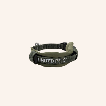 Gepolstertes Hundehalsband "CityLife" Linie in Oliv