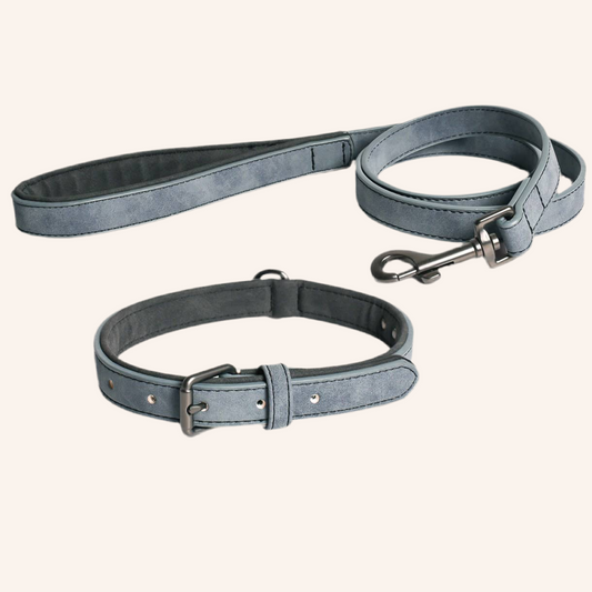 Halsband und Leinen Set – Veganes Leder