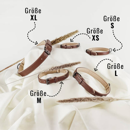 Halsband und Leinen Set – Veganes Leder - Braun