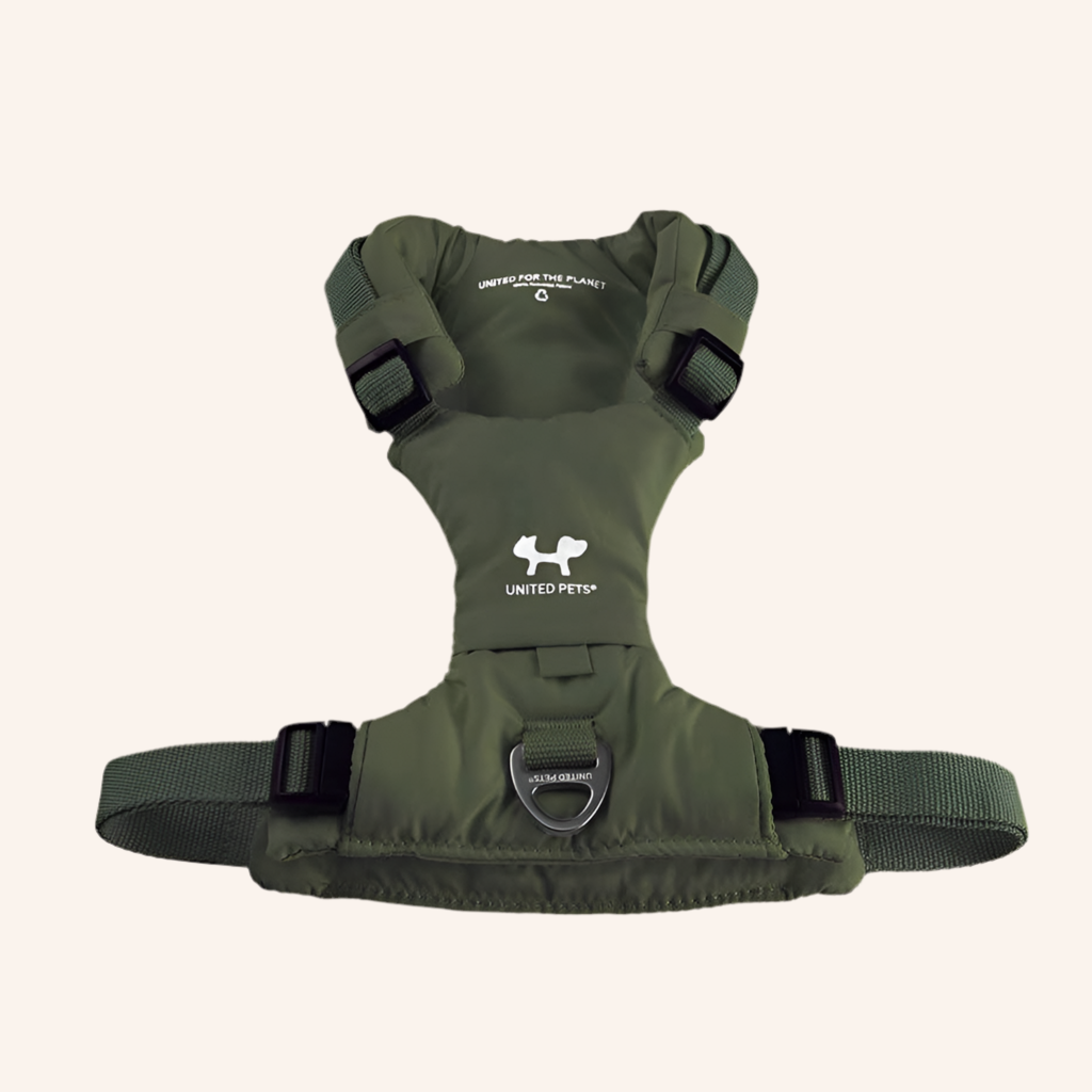 Gepolstertes Geschirr "CityLife" Linie in Oliv