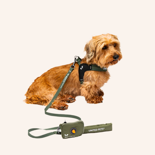 Gepolsterte, weiche Hundeleine Oliv