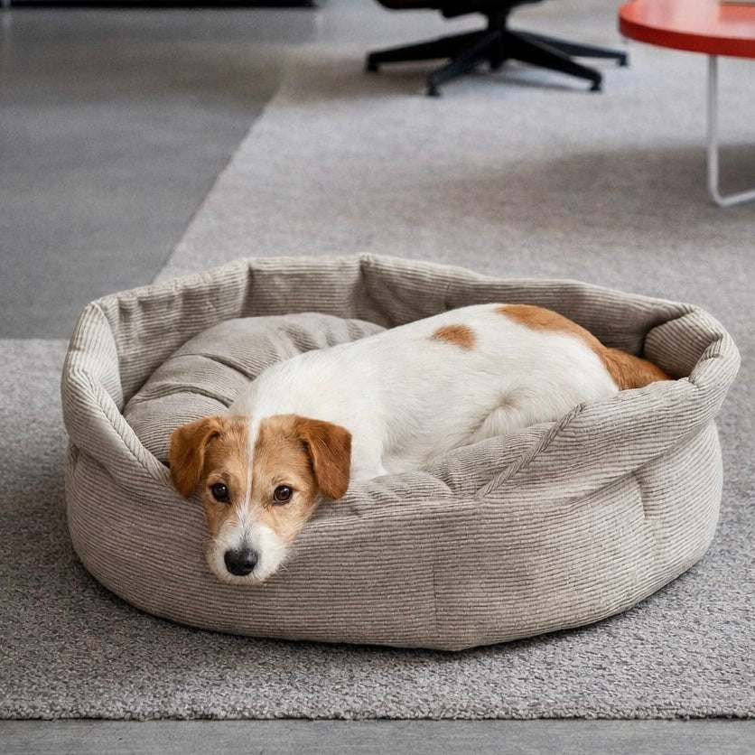 Chelsea - Hundebett aus Cord