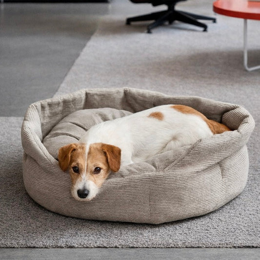 Chelsea - Hundebett aus Cord