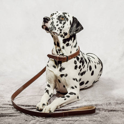 Halsband und Leinen Set – Veganes Leder - Braun