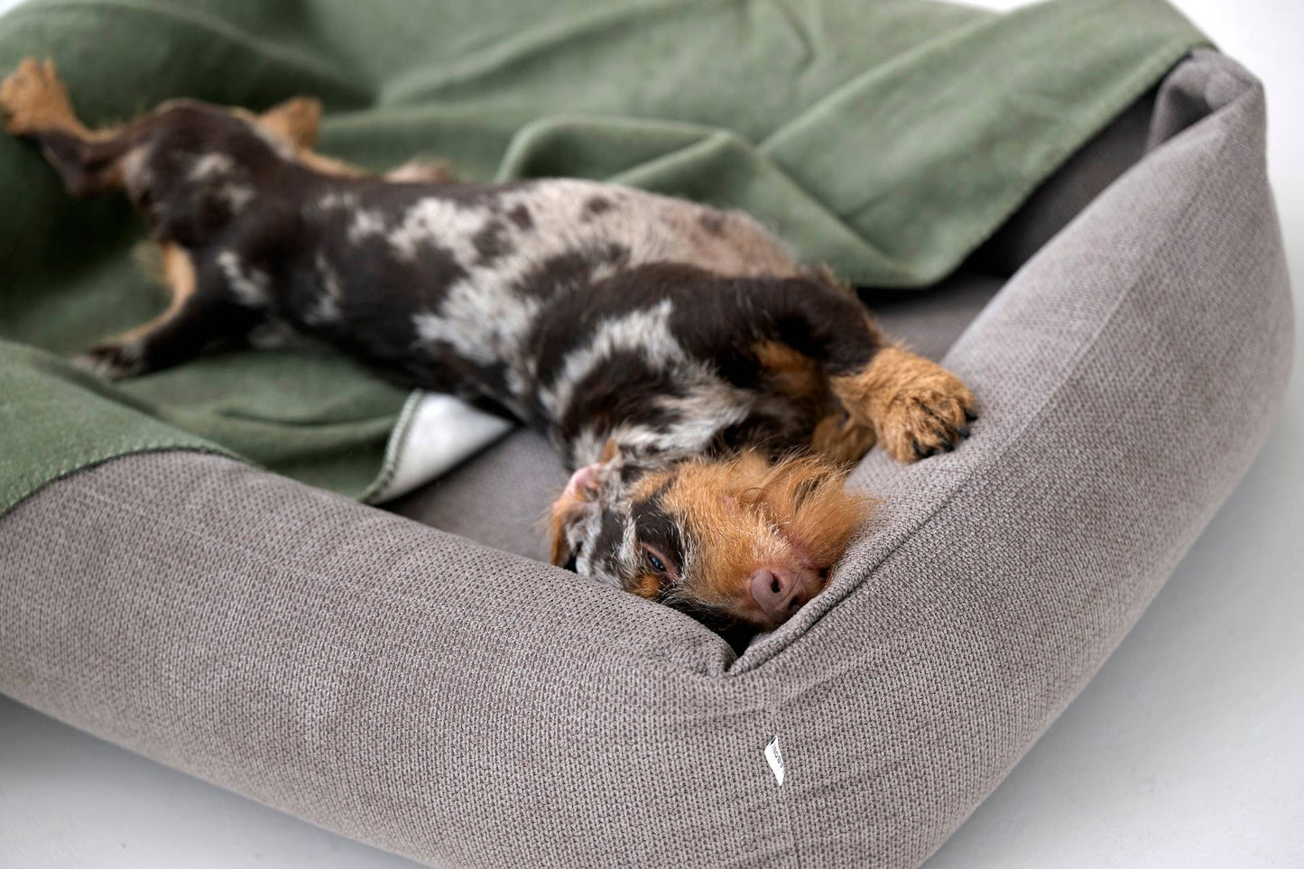 REVERSO – Stilvolle Wende-Decke für anspruchsvolle Hunde Oliv/Grün