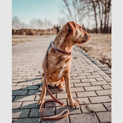 Halsband und Leinen Set – Veganes Leder - Braun