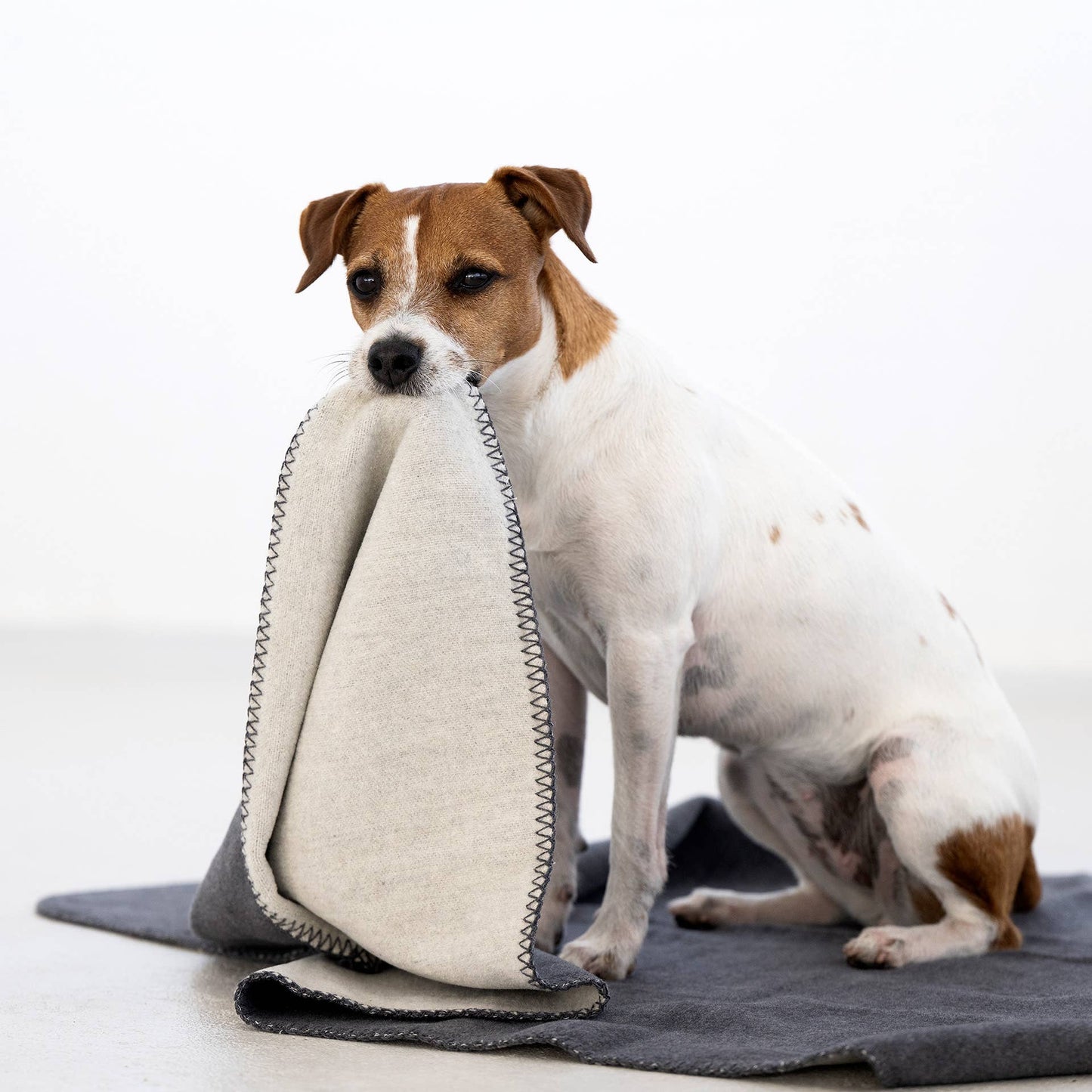 REVERSO – Stilvolle Wende-Decke für anspruchsvolle Hunde Grau/Anthrazit