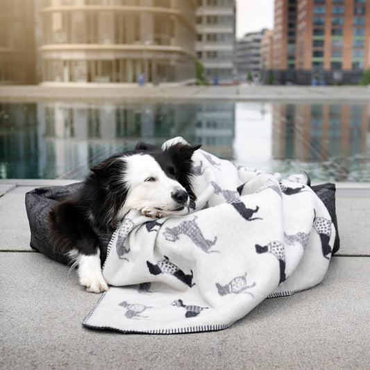 Wende - Kuscheldecke "Teckel" mit Dackel-Motiv