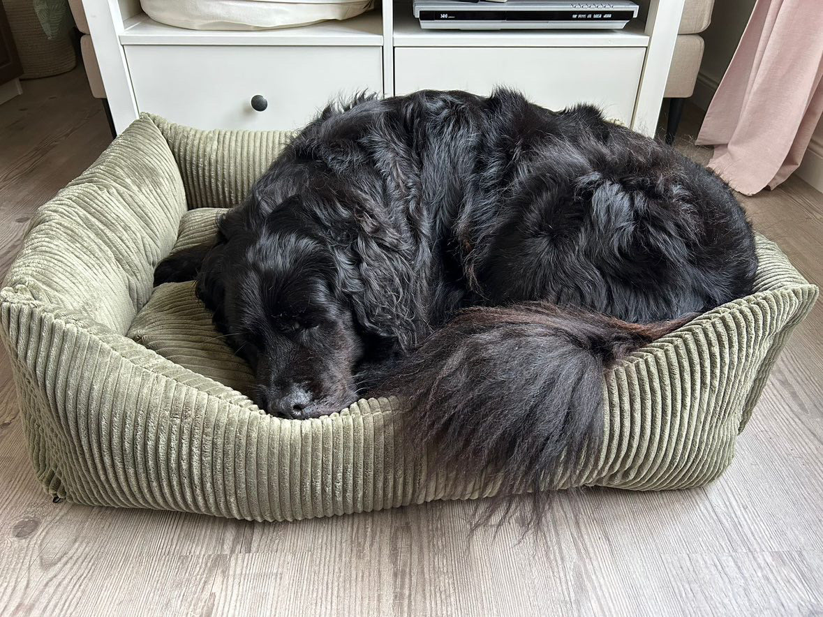 Weiches Cord-Hundebett Snozy – gemütlich, stilvoll & waschbar