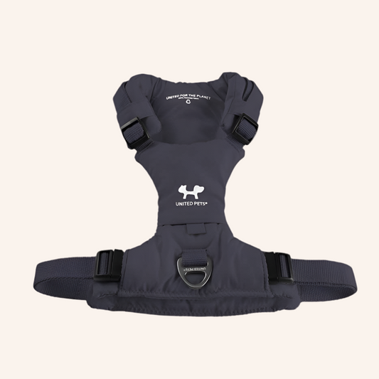 Gepolstertes H-Geschirr "CityLife" Linie in Anthrazit