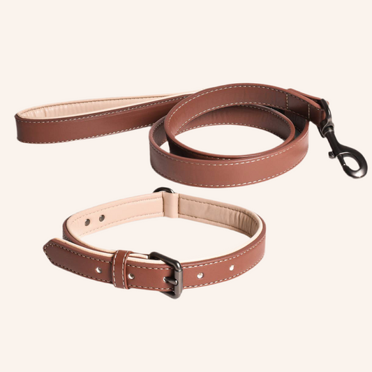 Halsband und Leinen Set – Veganes Leder