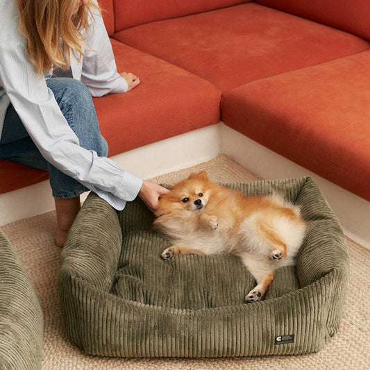 Hundebett aus grünem Cord / Snozy