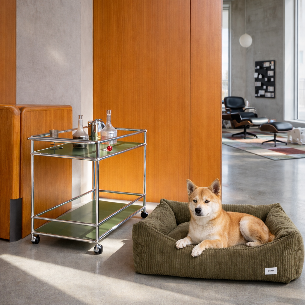 Snozy - Cord Hundebett in Olive