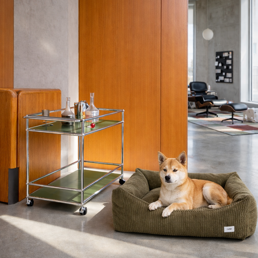 Snozy - Cord Hundebett in Olive