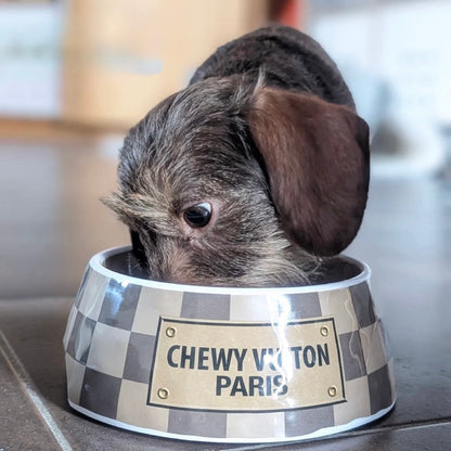 Hundenapf im Schachbrettmuster aus der Reihe "Chewy Vuiton"