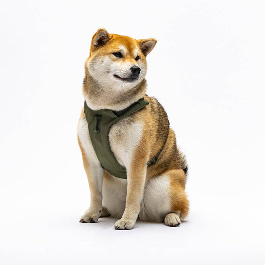 Gepolstertes Geschirr "CityLife" Linie in Oliv