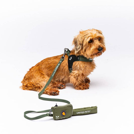 Gepolsterte, weiche Hundeleine Oliv