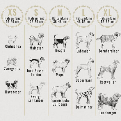 Halsband und Leinen Set – Veganes Leder - Braun