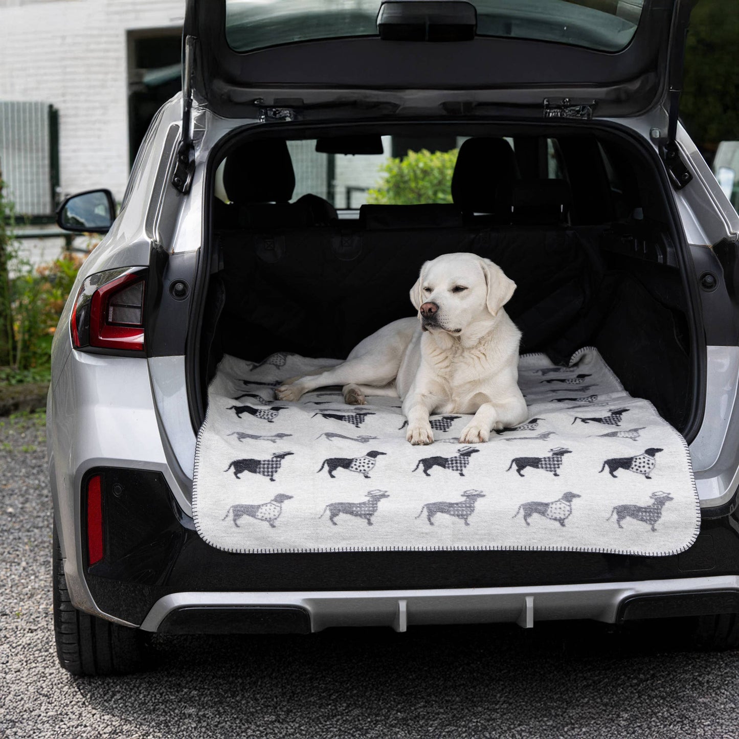 Wende - Kuscheldecke "Teckel" mit Dackel-Motiv