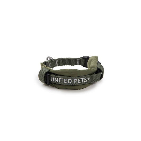 Gepolstertes, weiches Hundehalsband